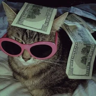 Взаимные подписки | взаимная реакция💙😻